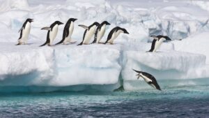 ce-se-ascunde-sub-gheata-antarcticii?