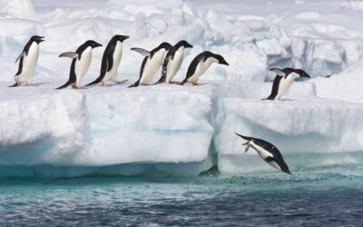 Ce se ascunde sub gheața Antarcticii?