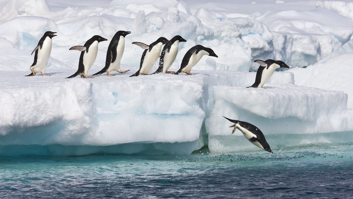 ce-se-ascunde-sub-gheata-antarcticii?