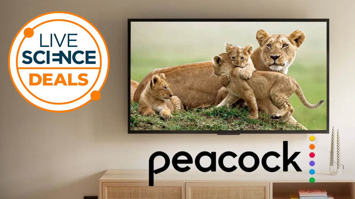 prindeti-o-economie-imensa-de-69%-cu-aceasta-oferta-de-streaming-de-paun-memorial