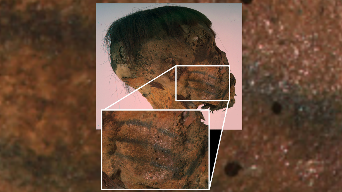 tatuaje-cu-fata-rara-pe-arheologi-de-mumie-de-mister-in-varsta-de-800-de-ani