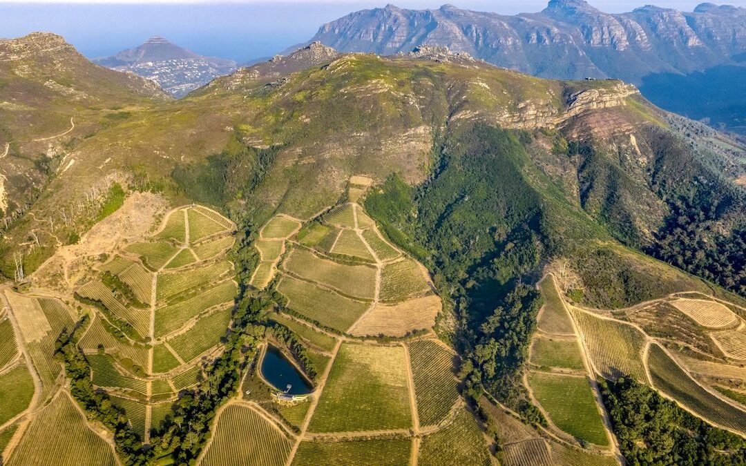 Terenul din Africa de Sud crește în fiecare an. În sfârșit știm de ce.