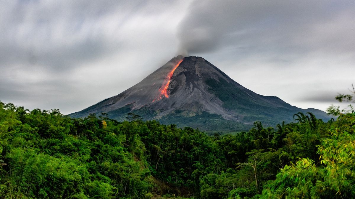 cu-cat-un-vulcan-mai-aproape-este-sa-erupt,-cu-atat-copacii-din-jurul-sau-arata-din-spatiu