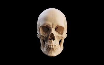 Evoluția umană: fapte despre ultimii 300.000 de ani de Homo sapiens