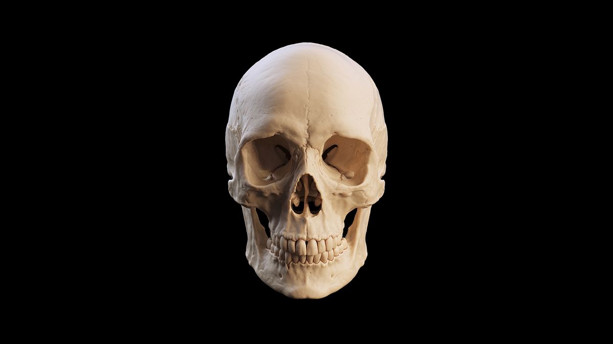 evolutia-umana:-fapte-despre-ultimii-300.000-de-ani-de-homo-sapiens