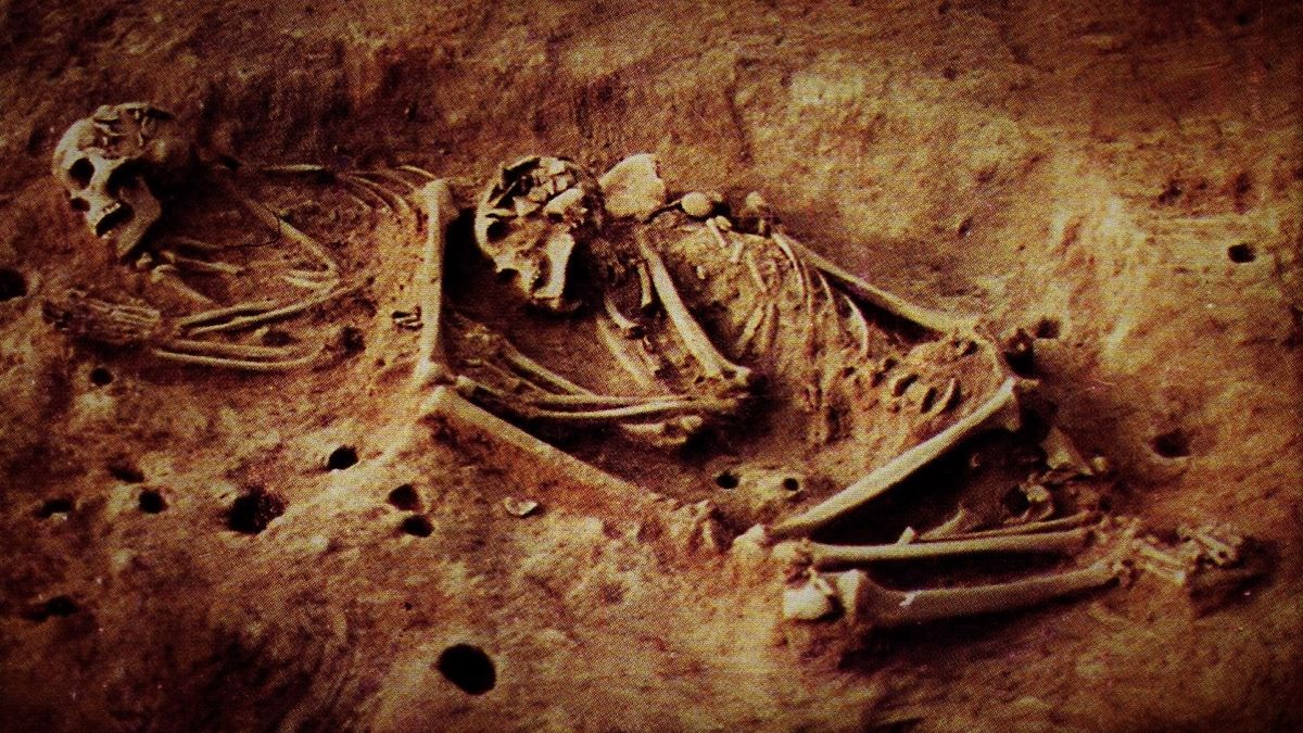 adn-ul-antic-dezvaluie-un-grup-indigen-misterios-din-columbia-care-a-disparut-acum-2.000-de-ani