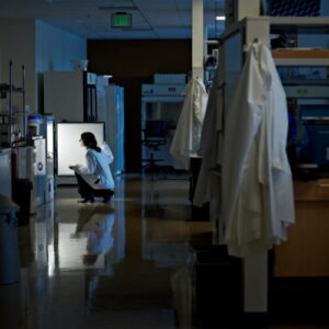 doctoratii-stiintei-se-confrunta-cu-un-viitor-provocator-si-incert