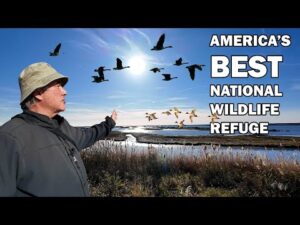 THIS is America’s BEST National Wildlife Refuge.