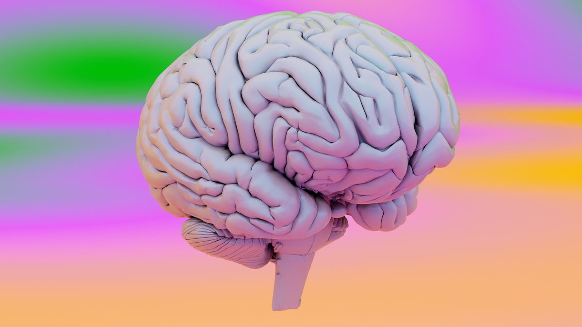 „dial”-uimitor-de-simplu-in-creier-il-poate-ajuta-sa-distinga-imaginatia-de-realitate