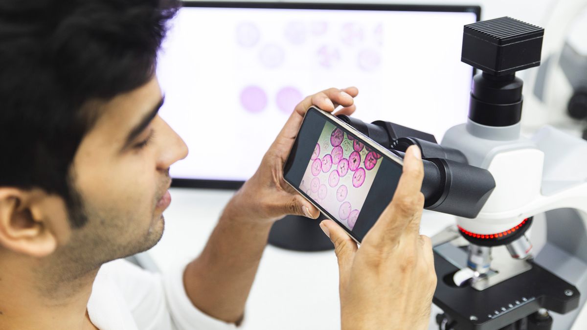 cum-sa-va-fotografiati-exemplarele-de-microscop