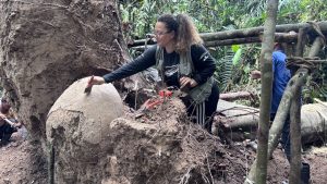 urnele-funerare-autohtone-descoperite-pe-insulele-facute-de-om-in-padurea-tropicala-amazon