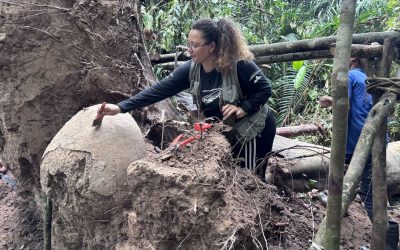 Urnele funerare autohtone descoperite pe insulele făcute de om în pădurea tropicală Amazon