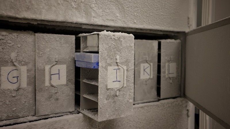 „este-obligatia-noastra-fata-de-generatiile-viitoare”:-oamenii-de-stiinta-isi-doresc-mii-de-probe-de-poop-uman-pentru-microb-„vault-doomsday”
