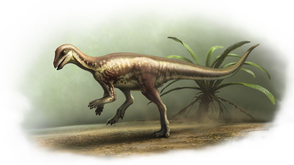 dinozaurul-misterios-„alergator”-un-semn-exista-mai-multe-secrete-jurasice-de-deblocat-sub-western-sua