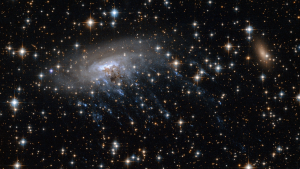 telescopul-james-webb-descopera-galaxia-„jeluyfish”-tentacula-inotand-prin-spatiu-adanc