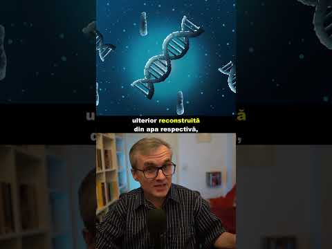 Mitul “MEMORIA APEI”