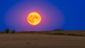 buck-moon-2025:-cum-sa-observi-cea-mai-indepartata-luna-plina-de-la-soare