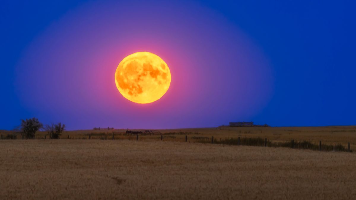 buck-moon-2025:-cum-sa-observi-cea-mai-indepartata-luna-plina-de-la-soare