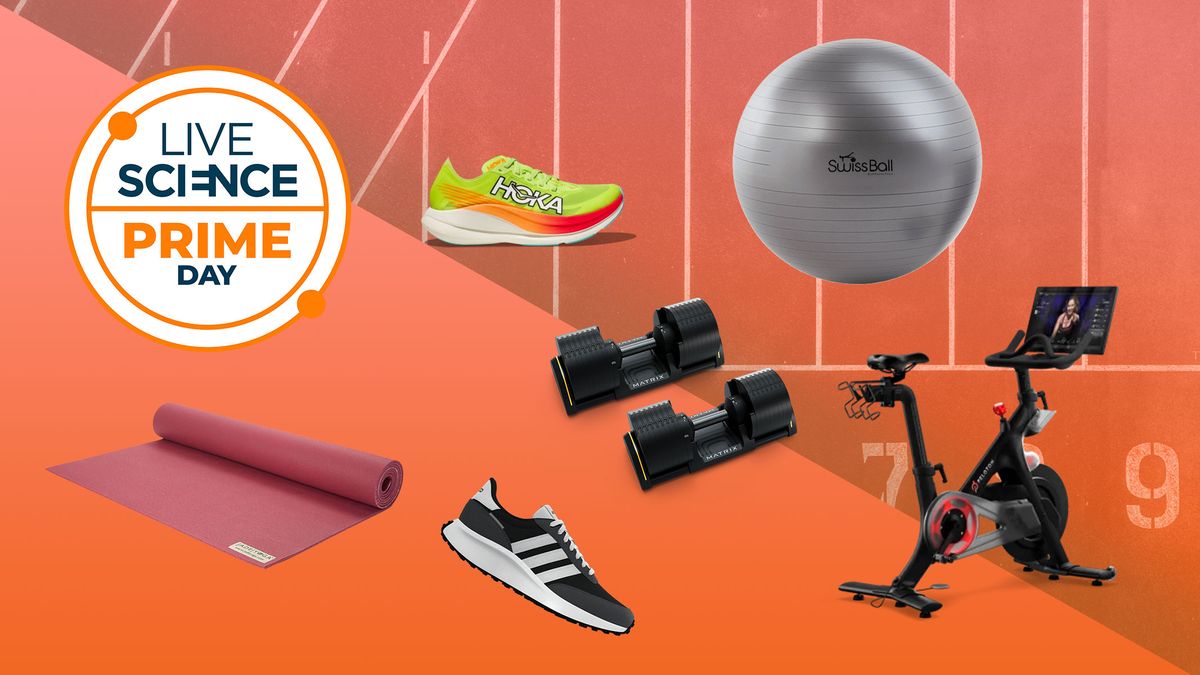 primele-10-oferte-de-fitness-pe-care-le-am-observat-in-aceasta-prima-zi