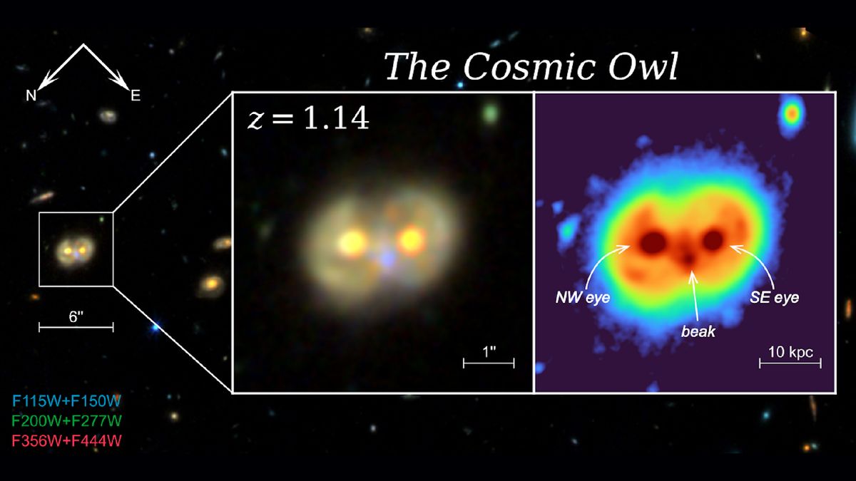 whooo-este-acolo?-james-webb-telescope-spots-„cosmic-owl”,-structura-super-rara-formata-din-galaxii-inelelor-care-se-ciocneste