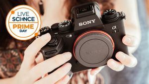 nu-ratati-peste-1400-de-dolari-din-sony-a1.-doar-sase-au-plecat,-si-nu-pe-amazon!