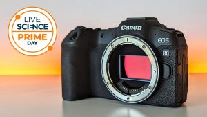 ultima-sansa!-canon-eos-r8-este-inca-cel-mai-ieftin-la-walmart-–-tocmai-la-timp-pentru-perseids-si-pentru-viata-salbatica-de-vara-tarzie