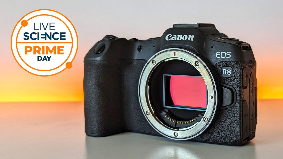 ultima-sansa!-canon-eos-r8-este-inca-cel-mai-ieftin-la-walmart-–-tocmai-la-timp-pentru-perseids-si-pentru-viata-salbatica-de-vara-tarzie