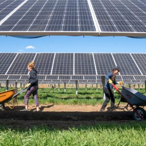 in-sud-vest,-panourile-solare-pot-ajuta-atat-fotovoltaica,-cat-si-culturile