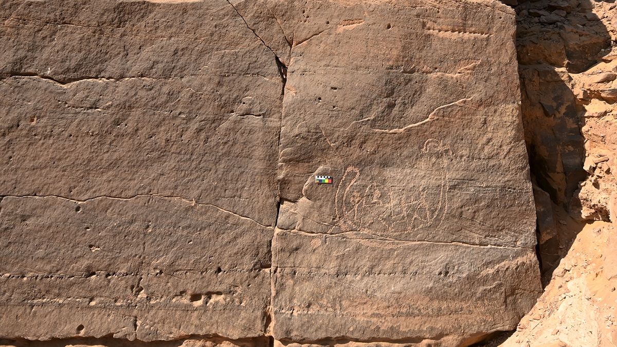 arta-rock-egipteana-antica-descoperita-in-apropiere-de-aswan-poate-fi-din-zorii-primei-dinastii