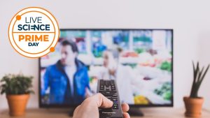 ultima-sansa-de-a-apuca-o-tranzactie-de-streaming-de-prima-zi-obtineti-pana-la-90%-reducere-si-bucurati-va-de-toate-spectacolele-preferate-de-stiinte-si-animale-salbatice-pentru-o-fractiune-din-cost
