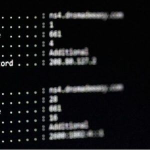 hackerii-exploateaza-un-punct-orb-ascunzand-malware-in-inregistrarile-dns