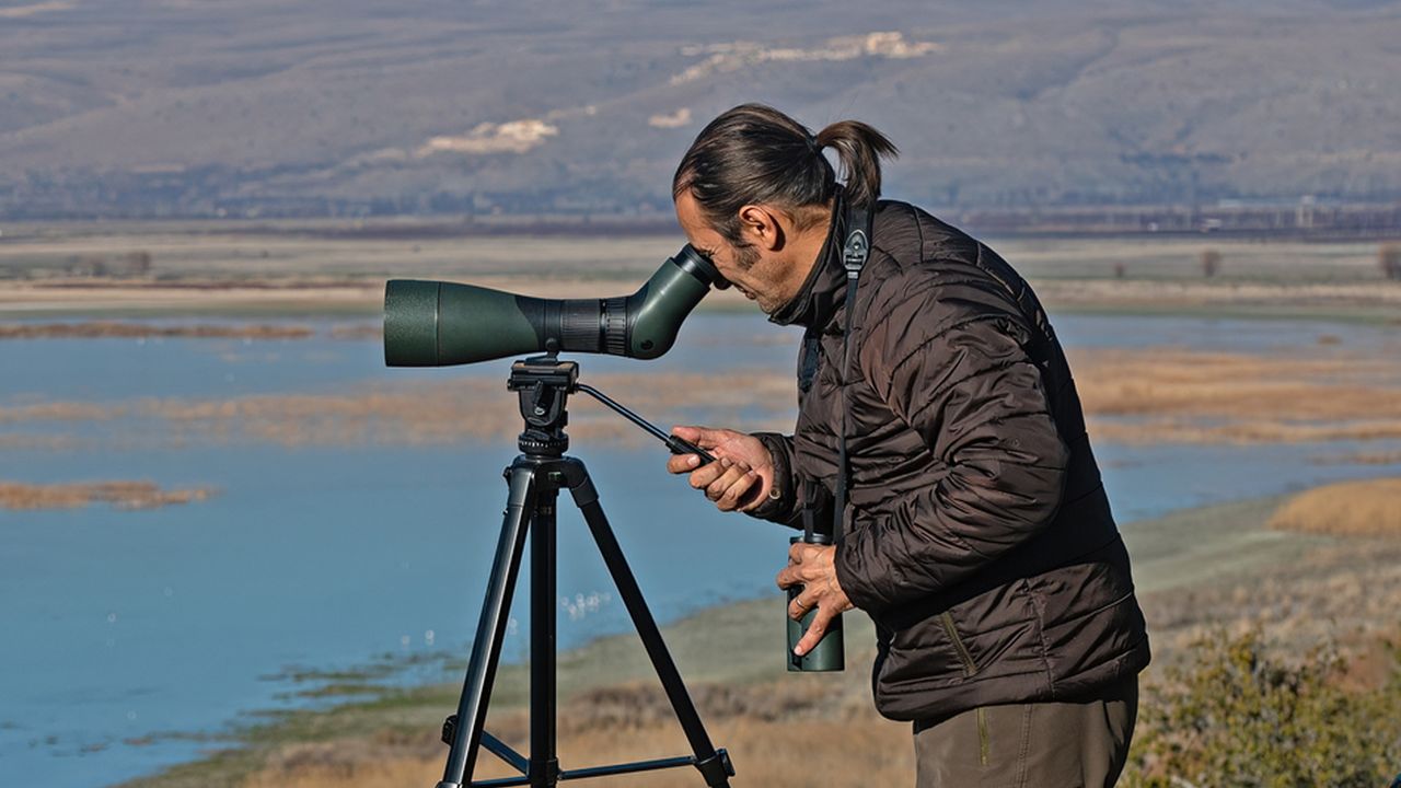 cele-mai-bune-scopuri-de-observare-in-2025-pentru-observarea-pasarilor-si-observarea-vietii-salbatice