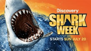 cum-sa-vizionati-shark-week-2025:-live-tv-si-program-de-streaming-pentru-discovery-special