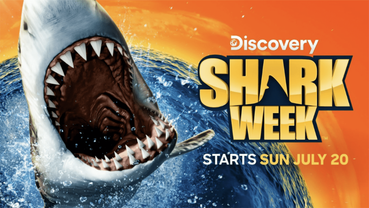 cum-sa-vizionati-shark-week-2025:-live-tv-si-program-de-streaming-pentru-discovery-special