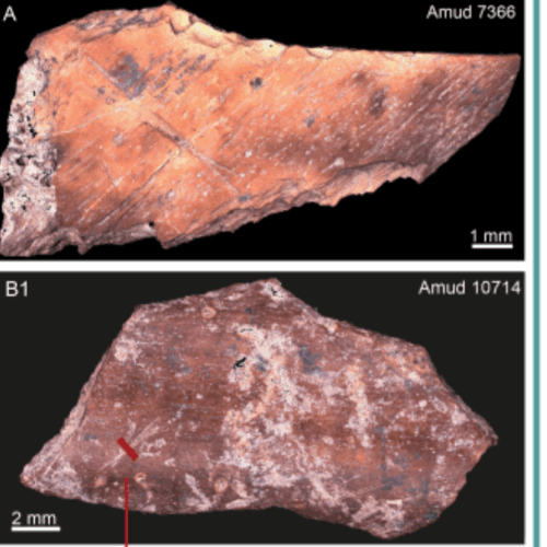 bucataria-locala-a-fost-pe-meniu-la-cafe-neanderthal