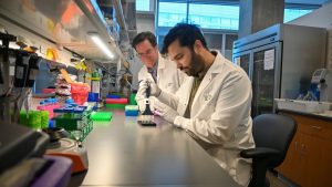 testul-de-sange-„pac-mann”-isi-propune-sa-detecteze-cancerul-pancreatic-din-timp