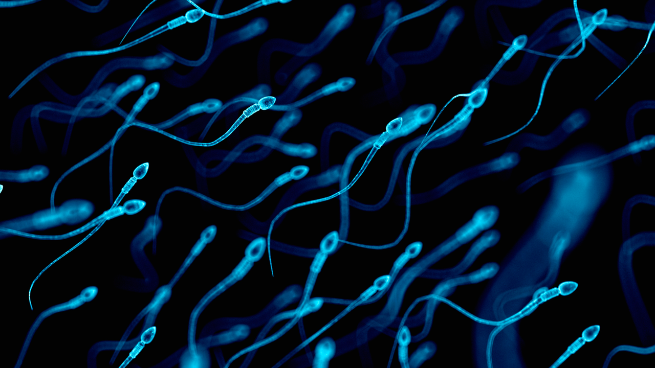 dilema-de-diagnostic:-alergia-rara-a-materialului-seminal-ar-fi-putut-provoca-infertilitatea-femeii