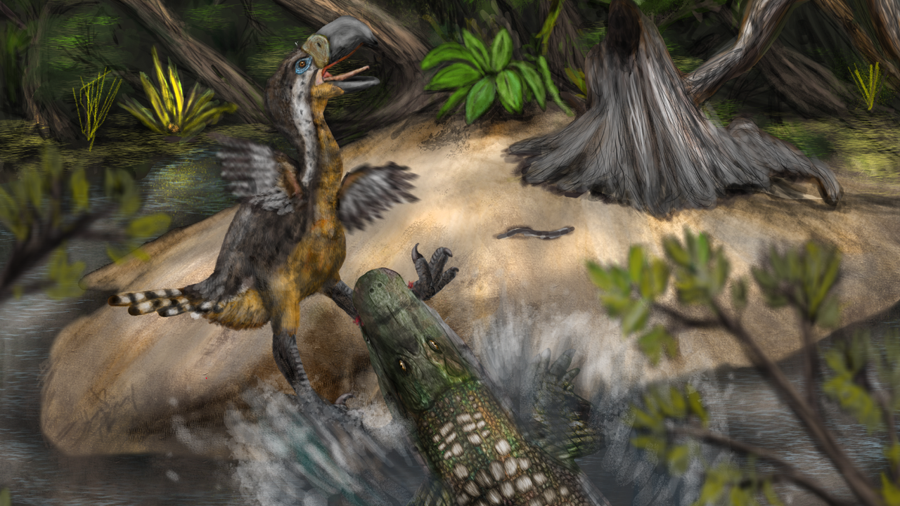 marcajele-de-muscatura-dezvaluie-ca-pasarile-de-teroare-uriase-erau-potential-prada-pentru-un-alt-pradator-de-varf-–-caiman-humongous