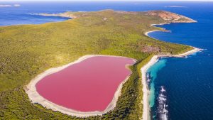lacurile-roz-ale-australiei:-ramasitele-raurilor-antice-acum-pline-de-microbi-care-fac-pigmenti-roz