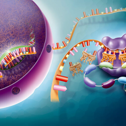 unele-instrumente-ai-nu-inteleg-inca-biologia