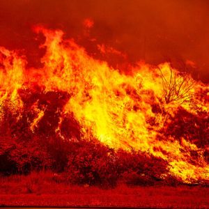 analiza:-atacul-administratiei-trump-asupra-actiunii-climatice