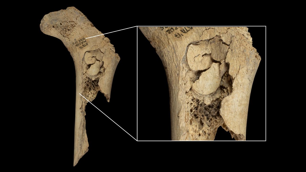 este-posibil-ca-familia-epoca-de-piatra-sa-fi-fost-canibalizata-pentru-„eliminarea-finala”-acum-5.600-de-ani,-sugereaza-studiul