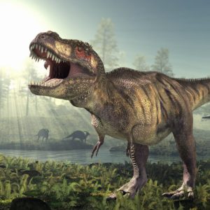 pentru-dinozaurii-carnivori-uriasi,-dimensiunea-mare-nu-a-insemnat-o-muscatura-mare
