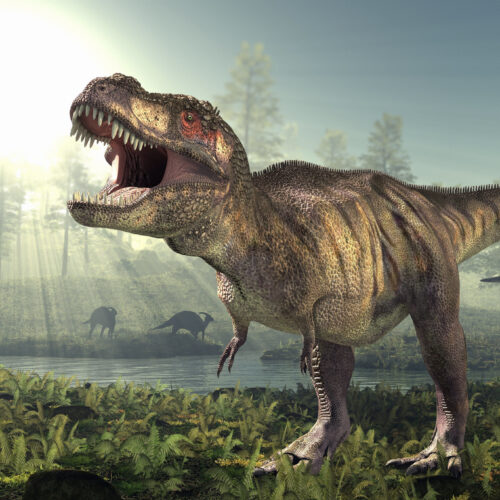 pentru-dinozaurii-carnivori-uriasi,-dimensiunea-mare-nu-a-insemnat-o-muscatura-mare