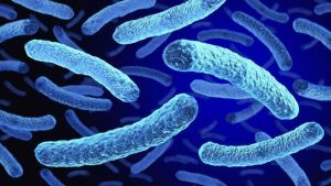 2-moarte-si-58-infectate-pe-fondul-focarului-bacterian-in-new-york