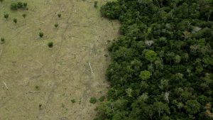 amazon-rainforest-se-apropie-de-„puncte-de-basculare”-care-l-ar-putea-transforma-intr-un-savana-mai-uscata