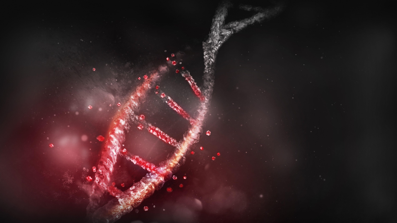 adn-ul-are-o-data-de-expirare-dar-proteinele-dezvaluie-secrete-despre-stramosii-nostri-antici-despre-care-nu-am-crezut-niciodata-posibil.