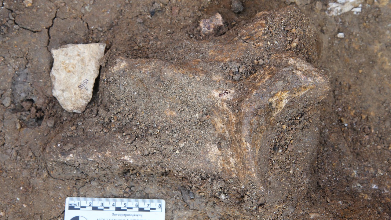 instrumentele-de-piatra-vechi-de-2,6-milioane-de-ani-dezvaluie-ca-rudele-umane-antice-erau-„planificare-inainte”-cu-600.000-de-ani-mai-devreme-decat-se-crede