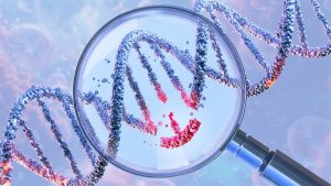 omul-diabetic-isi-produce-propria-insulina-dupa-transplant-de-celule-editate-de-gene