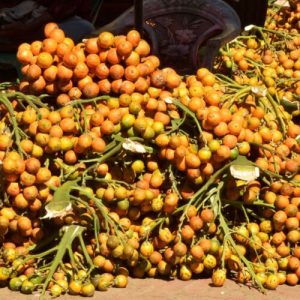 nuci-de-betel-le-ofera-oamenilor-un-zgomot-de-peste-4.000-de-ani